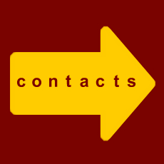 seo contacts